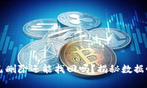 TPWallet已删除还能找回吗？揭秘数据恢复的奥秘