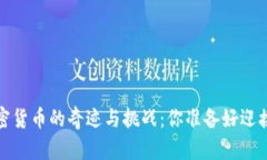 2020年加密货币的奇迹与挑