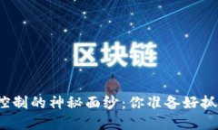 揭开加密货币风险控制的