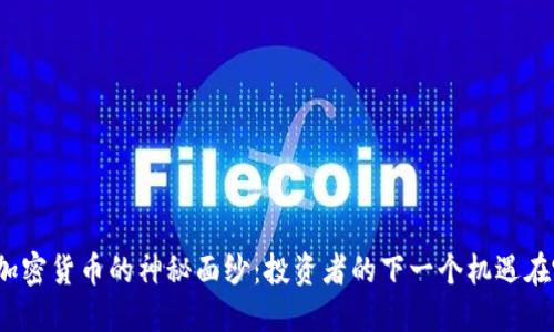 揭开加密货币的神秘面纱：投资者的下一个机遇在哪里？