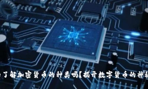 你真的了解加密货币的种类吗？揭开数字货币的神秘面纱！