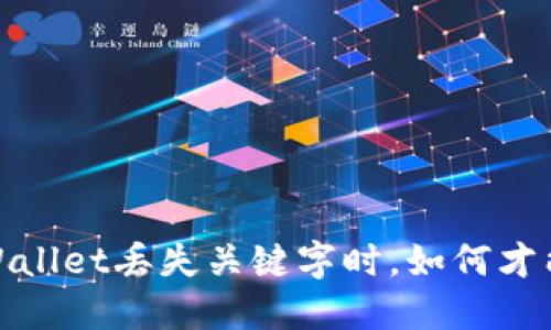 题目：当TPWallet丢失关键字时，如何才能重新找回？
