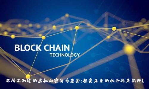 你所不知道的虚拟加密货币基金：投资未来的机会还是陷阱？
