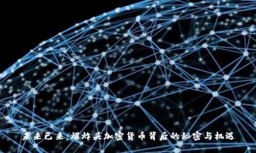 未来已来：爆炸头加密货币背后的秘密与机遇