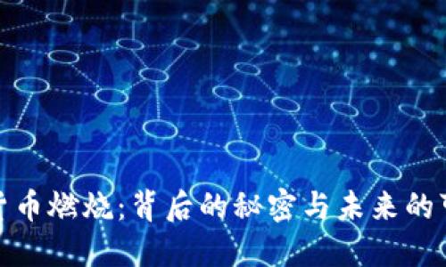 加密货币燃烧：背后的秘密与未来的可能性