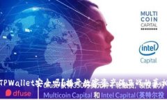 TPWallet安全吗？揭开数字资