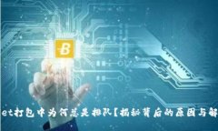 TPWallet打包中为何总是排队