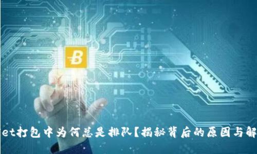 TPWallet打包中为何总是排队？揭秘背后的原因与解决方案