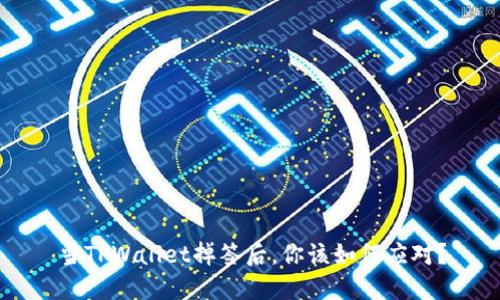 当TPWallet掉签后，你该如何应对？
