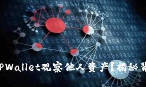 如何轻松使用TPWallet观察他人资产？揭秘背后的操作技巧！