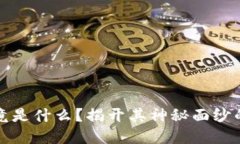 加密货币究竟是什么？揭