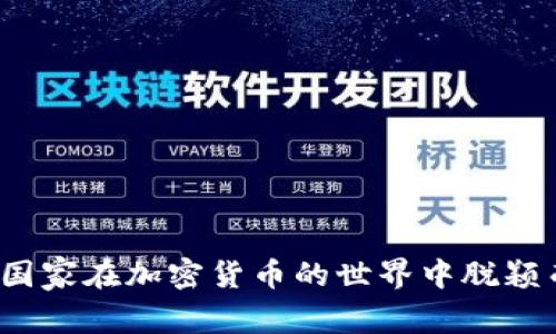 哪个国家在加密货币的世界中脱颖而出？