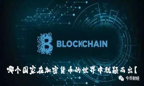 哪个国家在加密货币的世界中脱颖而出？