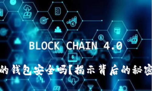 TP创建的钱包安全吗？揭示背后的秘密与风险