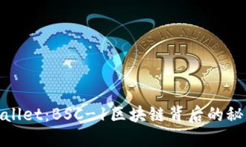 探秘TPWallet：BSC-1区块链背后的秘密与机遇