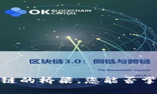 Polkadot：未来区块链的桥梁，您能否掌握这场革命的脉搏？
