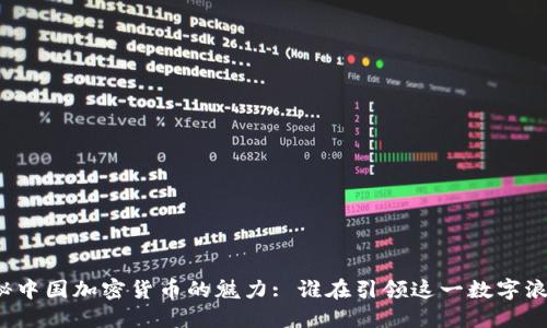 揭秘中国加密货币的魅力: 谁在引领这一数字浪潮？