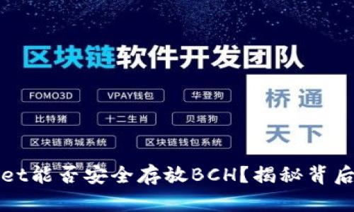 TPWallet能否安全存放BCH？揭秘背后的秘密