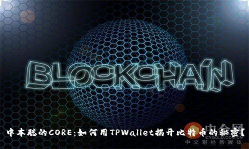 中本聪的CORE：如何用TPWallet揭开比特币的秘密？