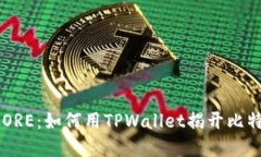 中本聪的CORE：如何用TPW
