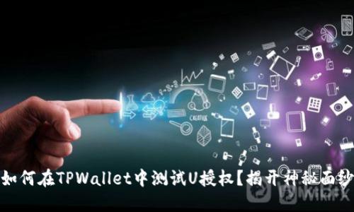 如何在TPWallet中测试U授权？揭开神秘面纱