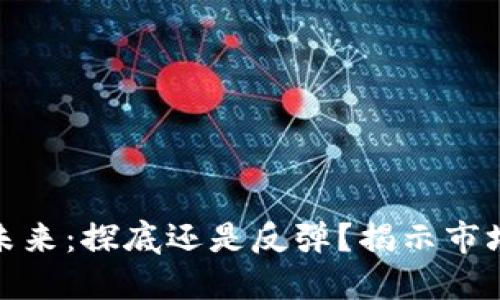 加密货币的未来：探底还是反弹？揭示市场背后的秘密