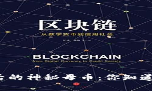“加密货币背后的神秘母币：你知道它的秘密吗？”