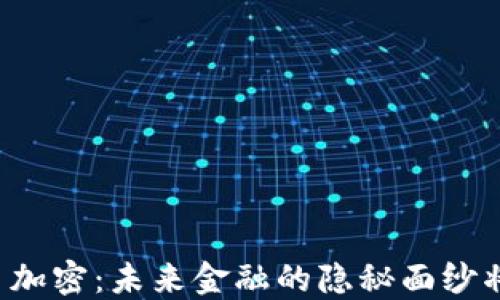 
墨西哥货币加密：未来金融的隐秘面纱将如何揭开？