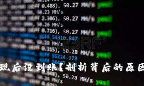 TPWallet提现后没到账？剖析背后的原因及解决方案