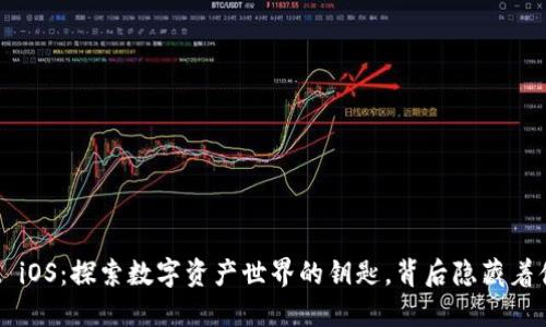 TPWallet iOS：探索数字资产世界的钥匙，背后隐藏着什么秘密？
