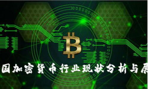 中国加密货币行业现状分析与展望