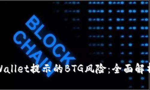 如何应对TPWallet提示的BTG风险：全面解析与应对措施