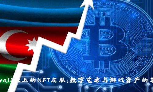 tpwallet上的NFT皮肤：数字艺术与游戏资产的革命