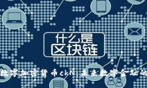 全面解析数字加密货币ckN：未来数字金融的关键选择
