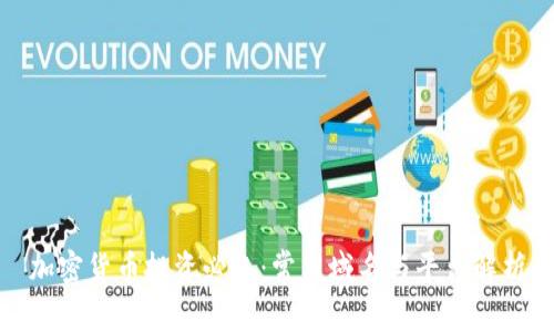 加密货币投资必备：常用域名与平台解析