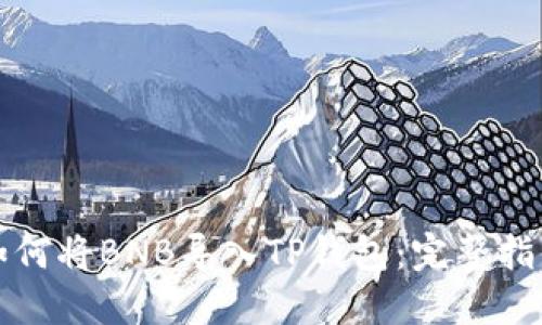 如何将BNB导入TP钱包：完整指南