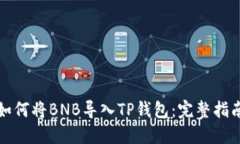如何将BNB导入TP钱包：完整指南