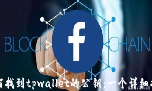 
如何找到tpwallet的公钥：一个详细指南