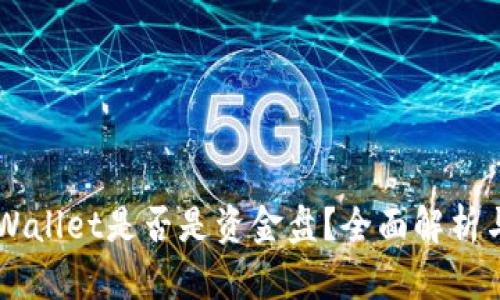 ### TPWallet是否是资金盘?全面解析与风险提示