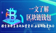 探索独特算法的加密货币