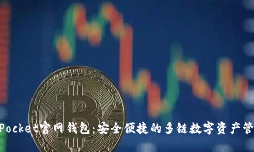 TokenPocket官网钱包：安全便捷的多链数字资产管理平台