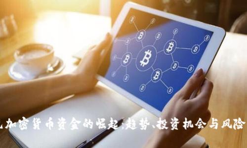 美元加密货币资金的崛起：趋势、投资机会与风险分析