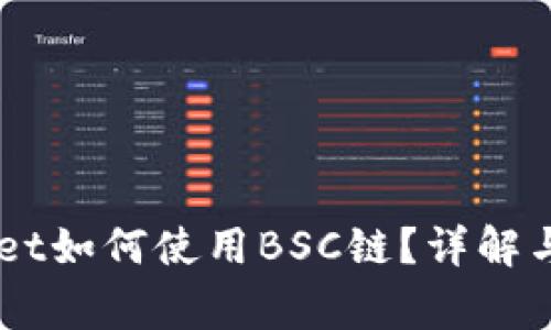 电脑版TPWallet如何使用BSC链？详解与常见问题解析