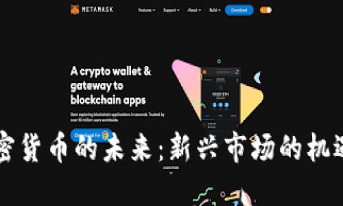 马币加密货币的未来：新兴市场的机遇与挑战