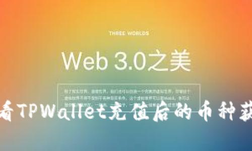 如何查看TPWallet充值后的币种获取情况