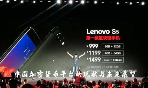 中国加密货币平台的现状与未来展望